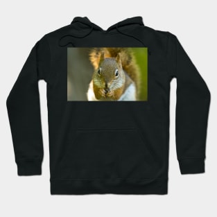 Red Squirrel Hoodie